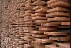 Softwood and hardwood suppliers