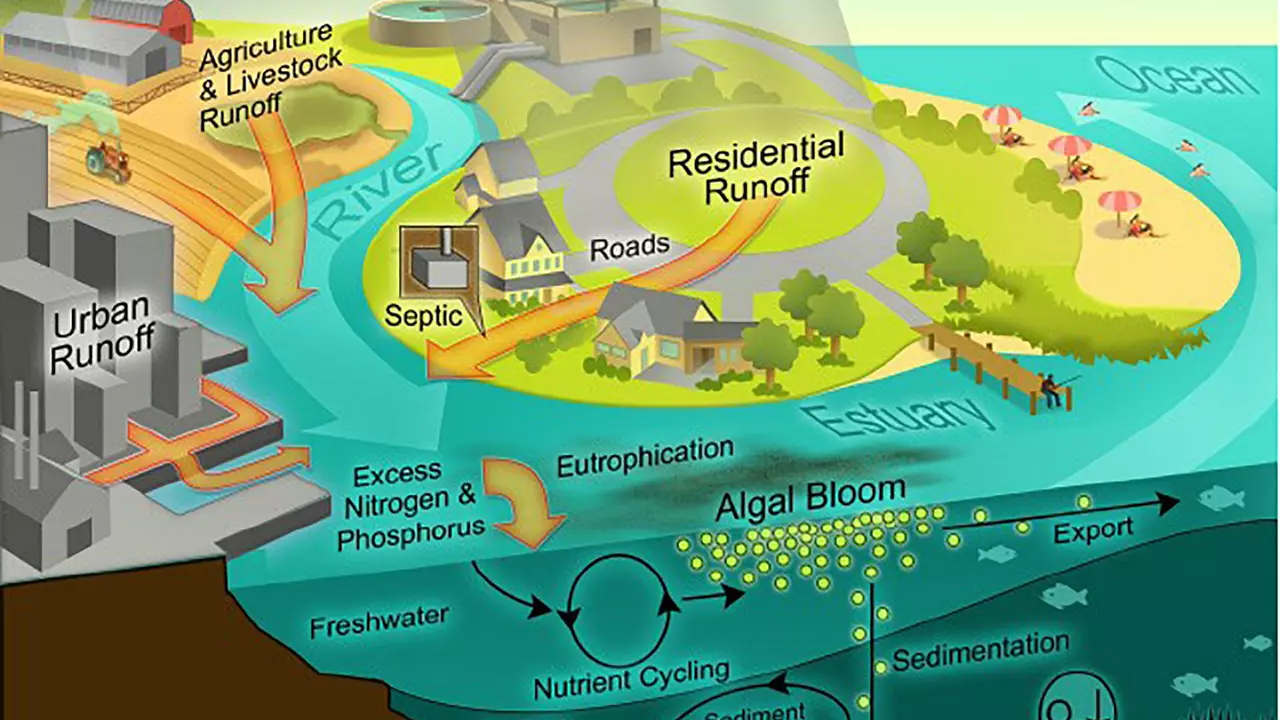 In ecology, what urban ecosystems means?